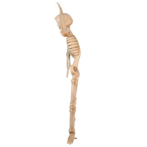 statue squelette en résine 2 mètres nlcdeco