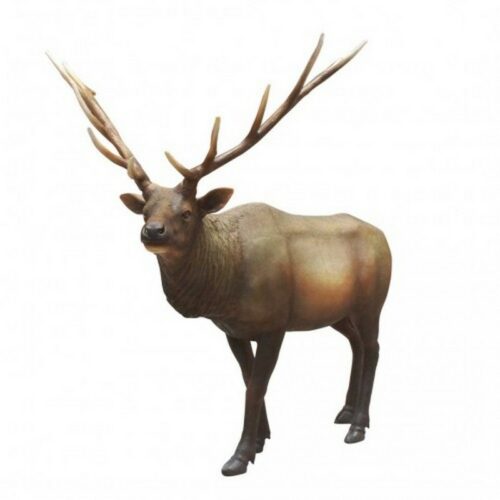statue taille réelle wapiti nlcdeco