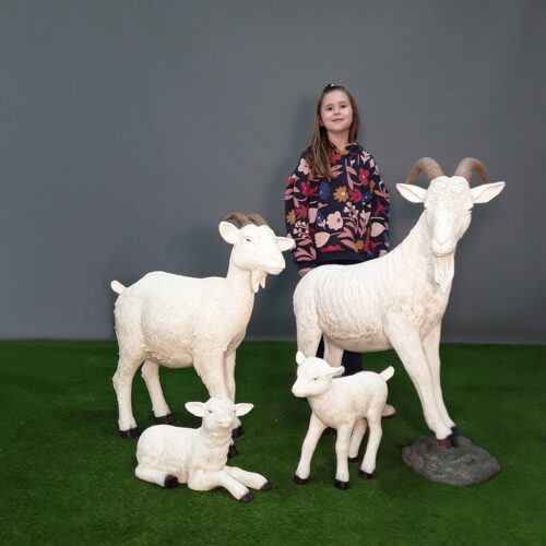 mise en scène chèvres décoratives nlcdeco