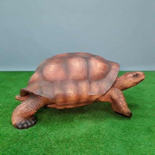 tortue taille réelle couleur marron nlcdeco