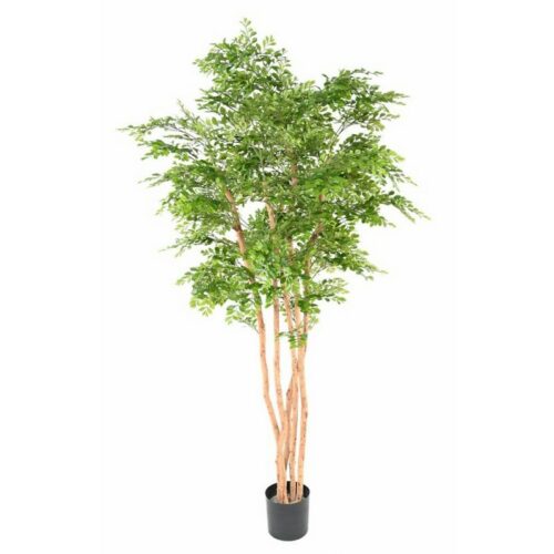 Acacia artificiel de 210 cm de hauteur nlcdeco