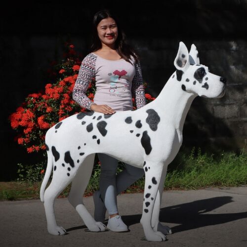 statue de dogue allemand grandeur nature en résine