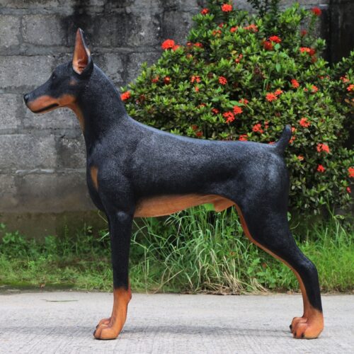 Doberman taille réelle en résine