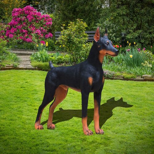 Doberman grandeur nature en résine